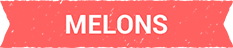 Header_melons