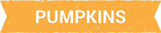 Header_pumpkins