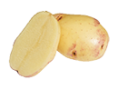 PRODUCTS_kestrel-potatoes