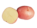 PRODUCTS_red-potatoes